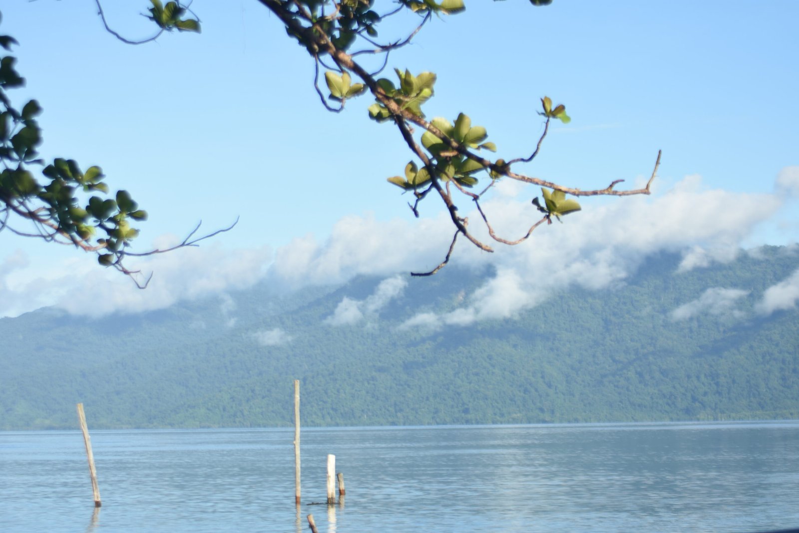 Beriat Nature Park: A Haven of Biodiversity in West Papua