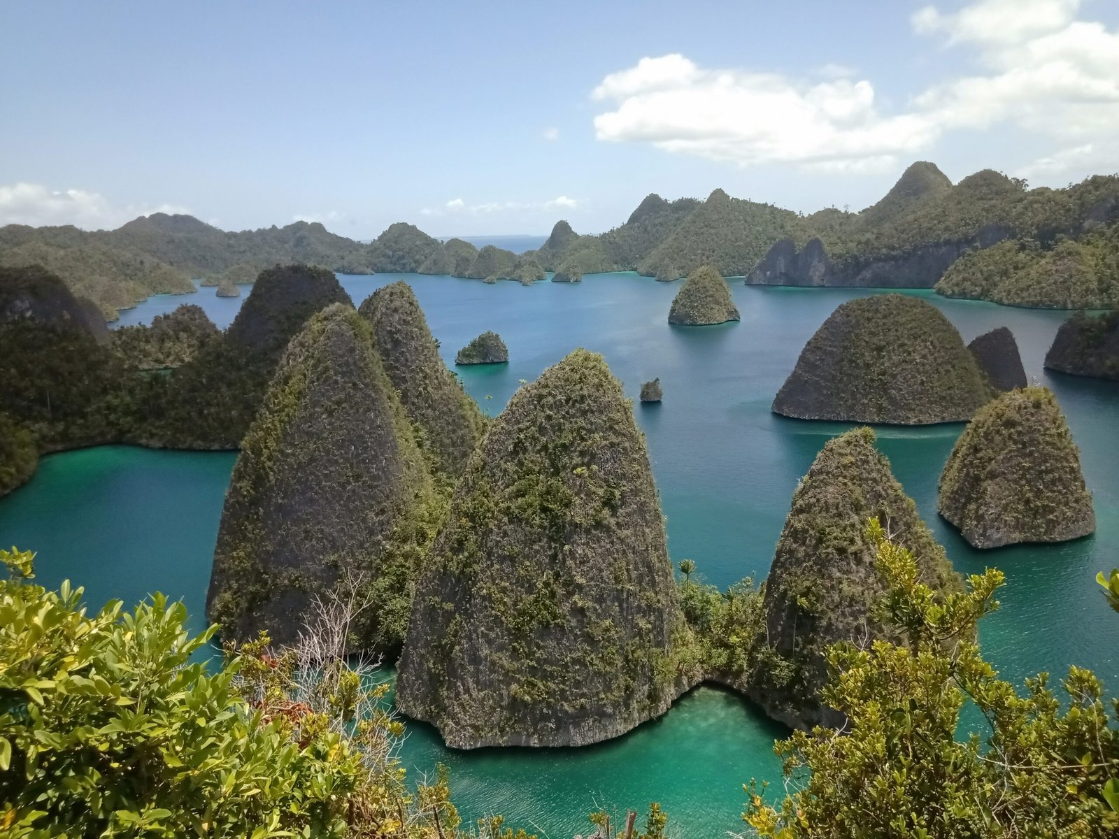 Discovering the Wonders of South Misool Nature Reserve