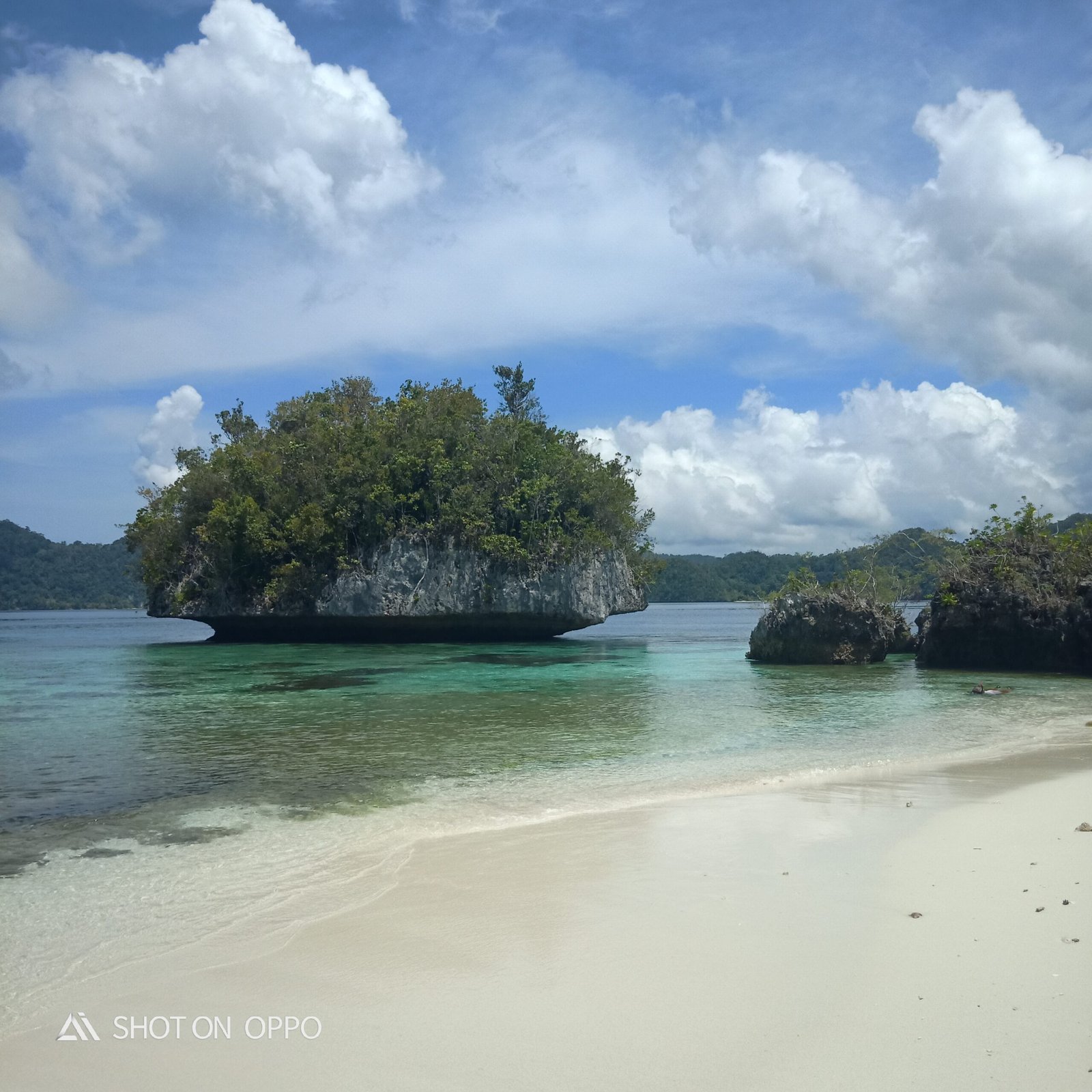 Exploring the Wonders of West Batanta Nature Reserve
